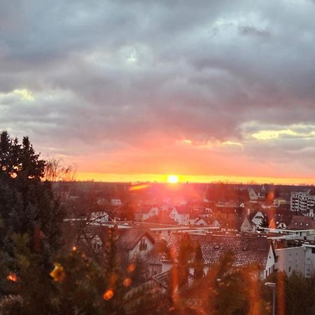 Appartement An Der Weinstrasse Bad Bergzabern Exteriör bild